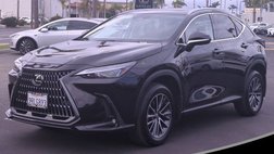2025 Lexus NX 350h Premium