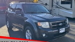 2009 Ford Escape Hybrid Base