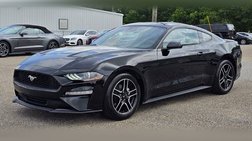 2023 Ford Mustang EcoBoost