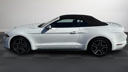 2022 Ford Mustang EcoBoost