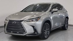 2024 Lexus NX 250 Premium