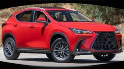 2025 Lexus NX 250 Premium
