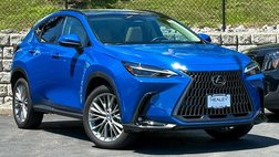 2025 Lexus NX 350 Luxury
