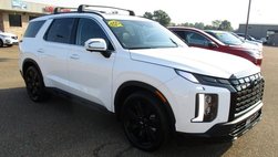2025 Hyundai Palisade XRT