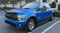 2013 Ford F-150 FX4