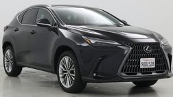 2025 Lexus NX 350 Luxury