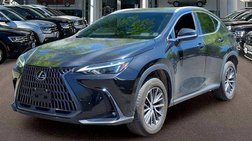 2024 Lexus NX 250 Base