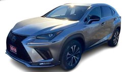 2019 Lexus NX 300 F SPORT