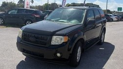 2009 Ford Escape XLT