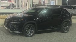 2021 Lexus NX 300 F SPORT