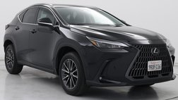 2025 Lexus NX 350 Premium