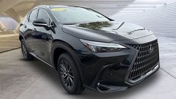 2025 Lexus NX 250 Premium