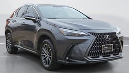 2025 Lexus NX 250 Premium