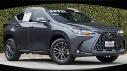 2025 Lexus NX 350h Premium