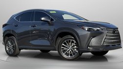 2025 Lexus NX 250 Base