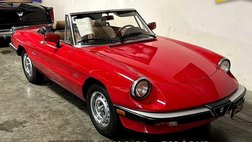 1987 Alfa Romeo Spider Graduate