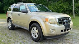 2010 Ford Escape XLT
