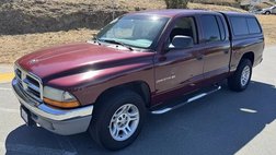 2001 Dodge Dakota Base