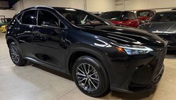 2025 Lexus NX 250 Premium
