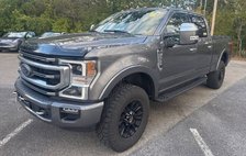 2022 Ford Super Duty F-250 Platinum