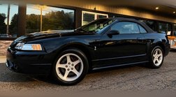 1999 Ford Mustang SVT Cobra Base