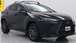2025 Lexus NX 350 Premium