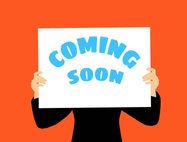 2013 Ford E-Series E-150