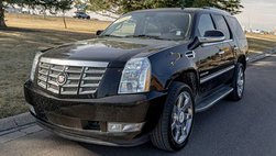 2014 Cadillac Escalade Luxury