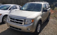 2010 Ford Escape XLT