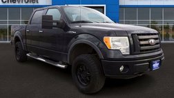 2010 Ford F-150 Platinum