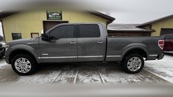2013 Ford F-150 Platinum