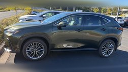 2025 Lexus NX 350h Luxury
