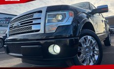 2013 Ford F-150 Platinum