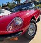 1979 Alfa Romeo Spider 