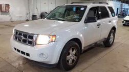 2010 Ford Escape XLT