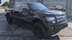 2014 Ford F-150 FX4