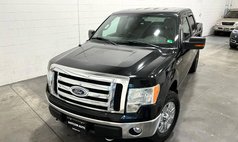 2009 Ford F-150 XL