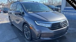 2023 Honda Odyssey Elite