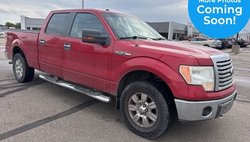 2010 Ford F-150 XLT