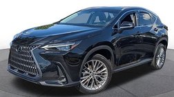 2023 Lexus NX 350 Luxury