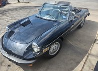 1981 Alfa Romeo Spider Veloce