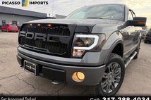 2010 Ford F-150 Platinum
