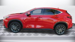 2023 Lexus NX 250 Premium