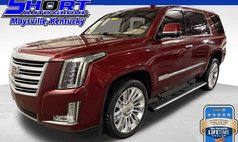 2016 Cadillac Escalade Platinum