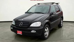 2002 Mercedes-Benz M-Class ML 320