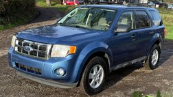 2010 Ford Escape XLT
