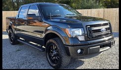 2013 Ford F-150 FX2