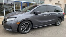 2023 Honda Odyssey Elite
