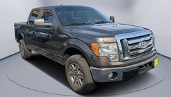 2009 Ford F-150 XL