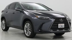2025 Lexus NX 350h Premium